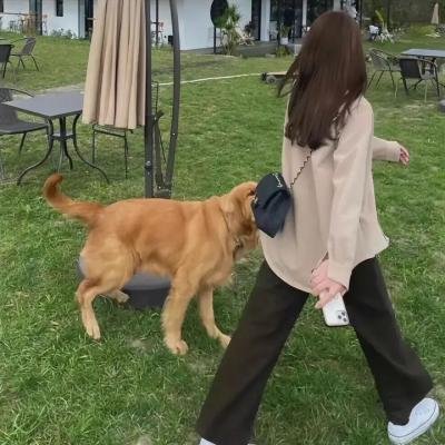 泡芙小姐第四季